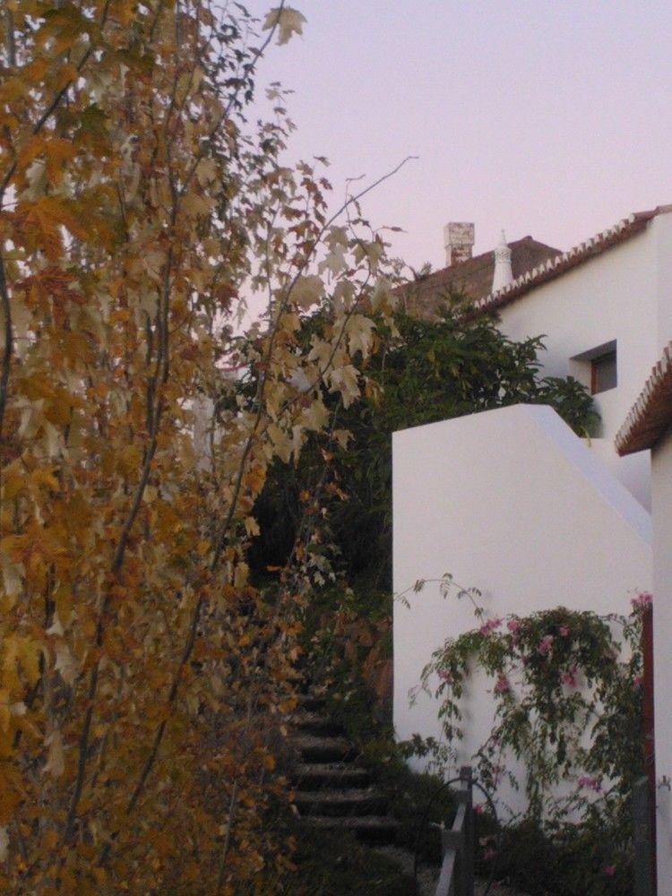 Casas Do Palheiro Velho Guest House Кастро Марим Екстериор снимка